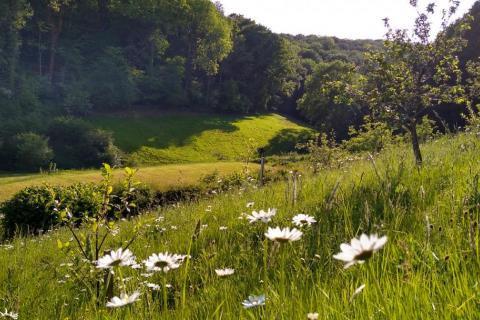 Feel close to nature as you practice